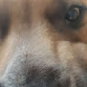 Meet your Posher, Maddison